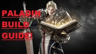 Insane Paladin Build Guide!