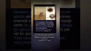 Gâşiye Suresi - 17 . Ayet #allha #din #İslam #tevhid #kuran  #ayetleri #oku  #dua #bilgi #uyarı