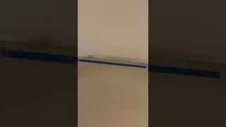Florida Hotel Leaks