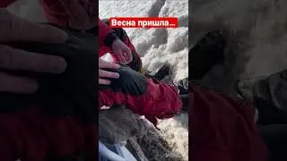 IRBIS. Зимний сезон закрывается…