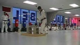 Brick Breaking