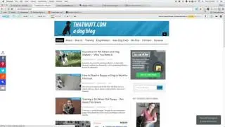 Social Presence & Link Diversification - Epic Arrow SEO