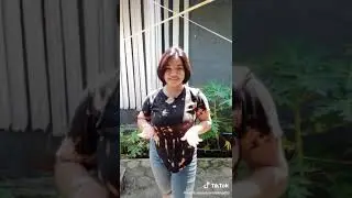 Mama muda tete bulet