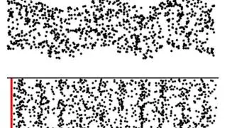 Particle motion in Transverse and Longitudinal wave gif