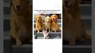Conhece alguém que não gosta de tirar foto ?! 😅