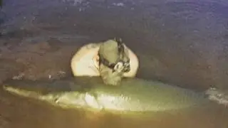 Huge Rare Prehistoric Fish Caught After Dark