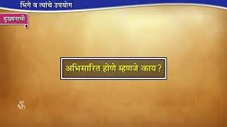 10th Science 1 | Chapter#07 | Topic#02 | बहिर्वक्र व अंतर्गोल भिंगाचे काटछेद | Marathi Medium