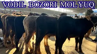 NIMA BULDUI ? VODIL CHORVA BOZORI.  Katta Buqalar  YUQ. 04,12,2024