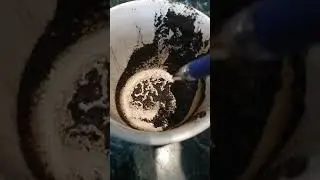 Проект Аллат ра для богачей Руси.