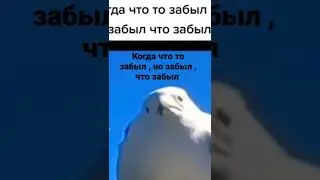 мем № 3544543