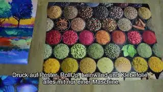 Poster, Klebefolie, RollUps usw. gedruckt mit der Colorado