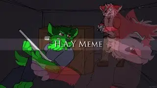 H.A.Y - Animation Meme