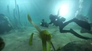 H2O Films