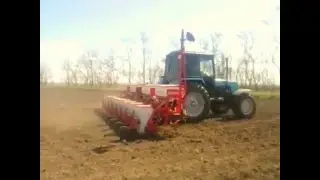 Мтз-1025.2 С Госпардо)ПОСЕВ ПОДСОЛНЕЧЬНИКА