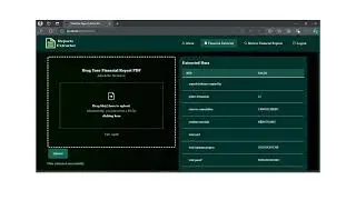 Financial Statement Extraction and Analysis Tool