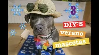 COMO REFRESCAR A TU PERRO EN VERANO |  3 TUTORIALES SUPER MEGA COOL