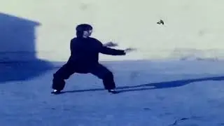 Master Steve Baugh -  Kung Fu foundation work
