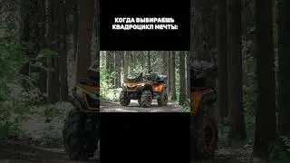КОГДА ВЫБИРАЕШЬ КВАДРОЦИКЛ МЕЧТЫ - SHARMAX Force 1100 EFI / Globaldrive