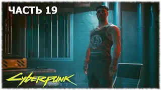 Cyberpunk 2077- #19 Видит око, да зуб неймет и Спорт на крови