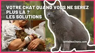 VOTRE CHAT QUAND VOUS NE SEREZ PLUS LÀ ? LES SOLUTIONS