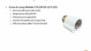 31   Plugin Lamp Modules