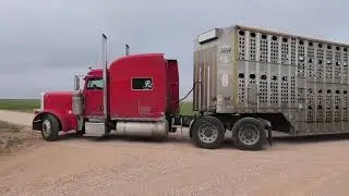 Loading in Dimmitt, Tx