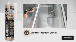 Selanta Híbrido MS 25