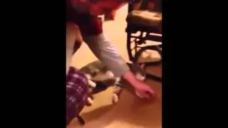 Кот притворщик