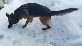 С Новым Годом!!! Жизнь продолжается...