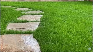 COMPLETE PEACE - Inspirational Ambient Music