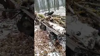 поїхали конякою по дрова