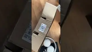 #туя