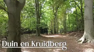 Wandeling Duin en Kruidberg (witte route) Nationaal Park Zuid-Kennemerland, Santpoort-Noord | 4K