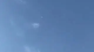 Голуби Казахстана, Самата Шымкент