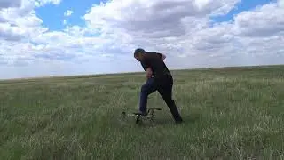 There's a wolf in the field!!! I'm digging metal.