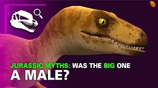 Was the Big One a Male? | Jurassic Myths