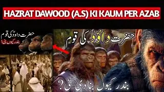 How did the people of Hazrat Dawood (as) become monkeys? | hazrat dawood as ka waqia