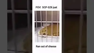 SCP-529 be like