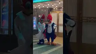 Woody Woodpecker at Universal #universalstudiosflorida #uoap #orlando #florida #themepark