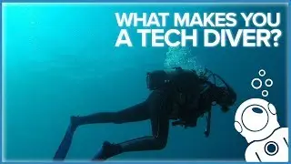 What Makes You A Tech Diver?
