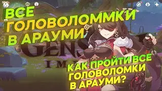 ВСЕ ГОЛОВОЛОМКИ И ЗАГАДКИ В ЛОКАЦИИ АРАУМИ ! КАК ПРОЙТИ ВСЕ ГОЛОВОЛОМКИ В КОЛОДЦЕ АРАУМИ ?ИНАДЗУМА
