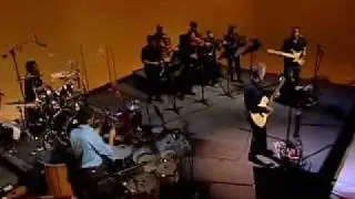 Like Humans Do - David Byrne