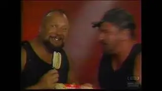 WWF Superstars of Wrestling Ice Cream Bars Ad- The Bushwackers (1991)