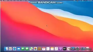 macOS Big Sur Crazy Error