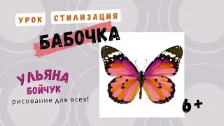 Видеоурок 6+  Стилизация бабочки