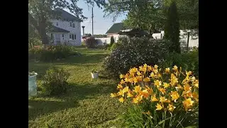 Дача 12 июня