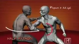 Half Python
