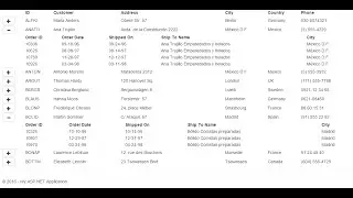 ASP.NET Nested Grid View - Expandable and Collapsible rows