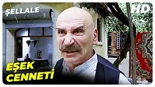 Şellale | Şelalenin Suyu Kesiliyor | Tuncel Kurtiz Türk Filmi