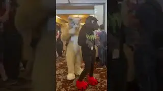 Wild prairie fur con 2022 fursuit parade